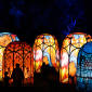 LIT Festival, Wyndham Park 2025